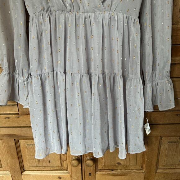 NWT The Impeccable Pig Small V-Neck Dress Metallic Silver Gold‎ Dash Long Sleeve - Picture 6 of 12